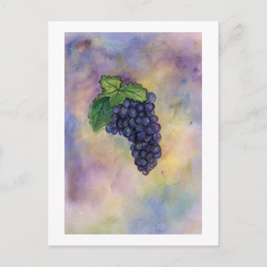 Pinot Noir Wine Grapes Briefkaart (Voorkant)