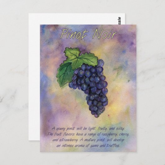Pinot Noir Wine Grapes Briefkaart (Voorkant / Achterkant)