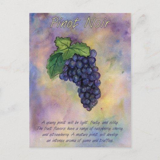 Pinot Noir Wine Grapes Briefkaart (Voorkant)