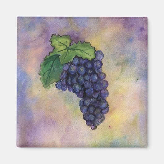 Pinot Noir Wine Grapes Magnet (Voorkant)