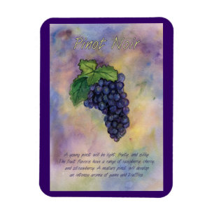 Pinot Noir Wine Grapes Painting Art Magnet Magneet