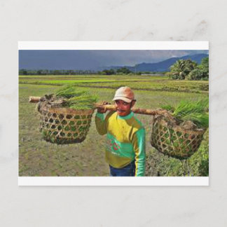 Pinoy1.jpg Briefkaart