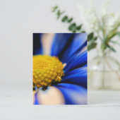 Pinrad Briefkaart (Staand voorkant)