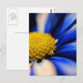 Pinrad Briefkaart (Voorkant / Achterkant)