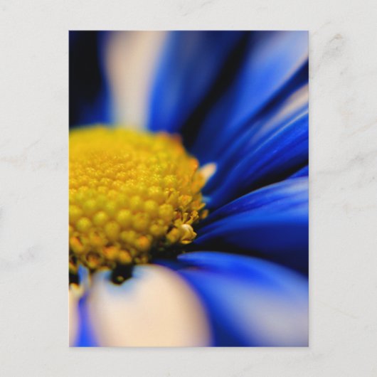 Pinrad Briefkaart (Voorkant)