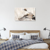 Pintail Drake Taking Flight Canvas Afdruk (Insitu (Slaapkamer))