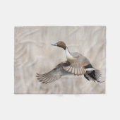 Pintail Drake Taking Flight Fleece Deken (Voorkant (Horizontaal))
