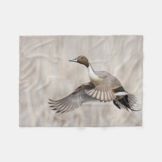Pintail Drake Taking Flight Fleece Deken (Voorkant (Horizontaal))
