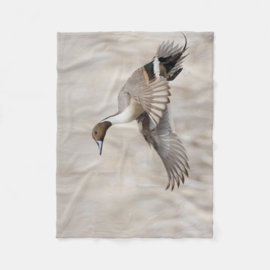 Pintail Drake Taking Flight Fleece Deken (Voorkant)
