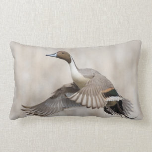 Pintail Drake Taking Flight Kussen