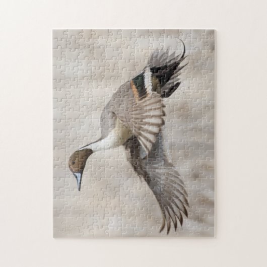 Pintail Drake Taking Flight Legpuzzel (Verticaal)