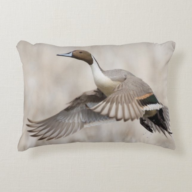 Pintail Drake vliegt Decoratief Kussen (Voorkant)
