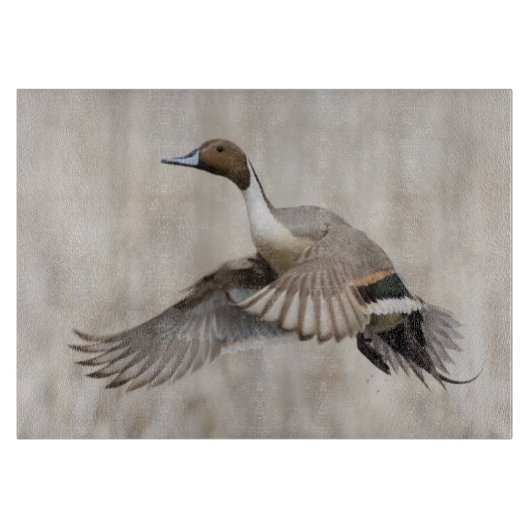 Pintail Drake vliegt Snijplank (Voorkant)