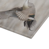 Pintail Drake vliegt Snijplank (Hoek)