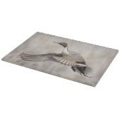 Pintail Drake vliegt Snijplank (Hoek)