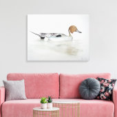 Pintail Duck 2011 Canvas Afdruk (Insitu (Woonkamer))
