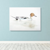 Pintail Duck 2011 Canvas Afdruk (Insitu (Houten vloer))