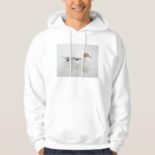 Pintail Duck 2011 Hoodie