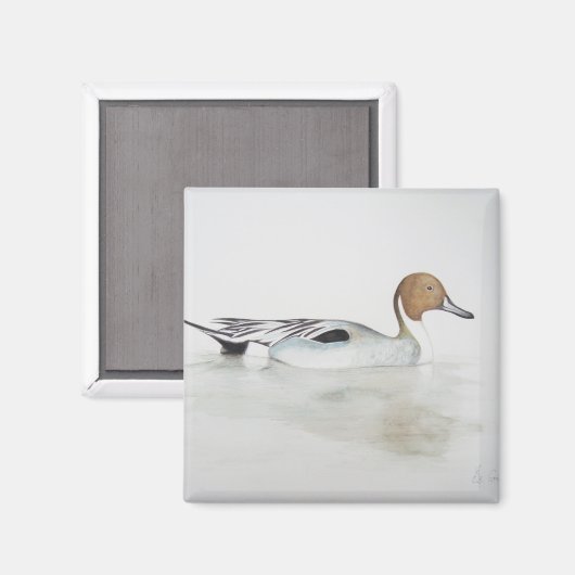 Pintail Duck 2011 Magneet (Voorkant / Achterkant)