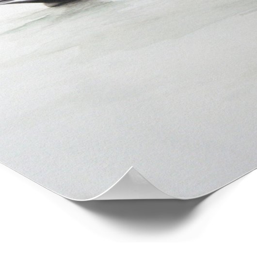 Pintail Duck 2011 Poster (Hoek)