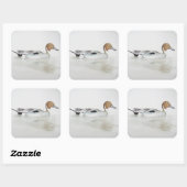 Pintail Duck 2011 Vierkante Sticker (Vel)