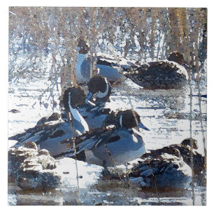 Pintail Duck Birds Wilde Dieren Tile Tegeltje