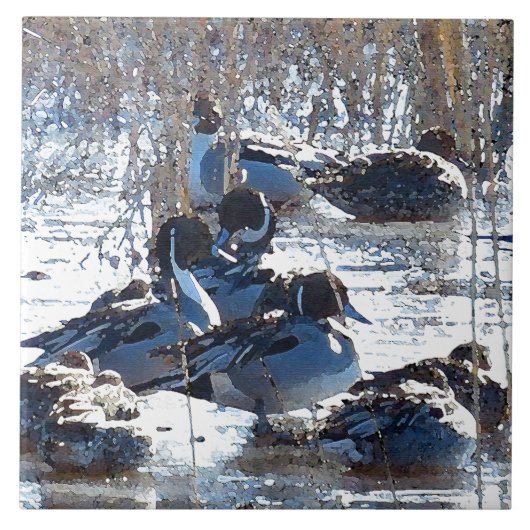 Pintail Duck Birds Wilde Dieren Tile Tegeltje (Voorkant)
