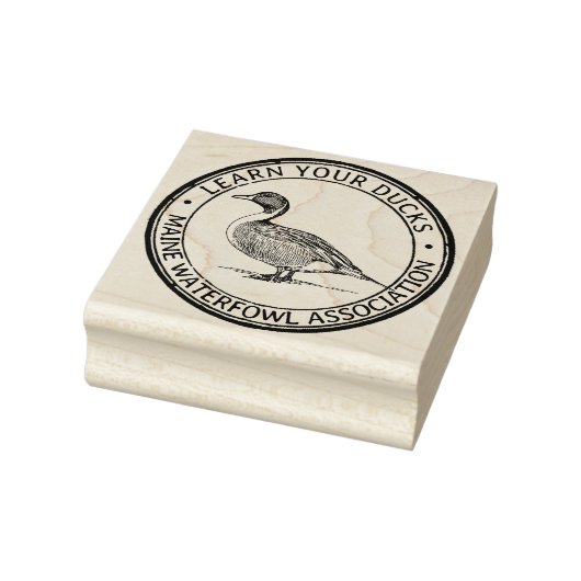 Pintail Duck Illustratie Watervogels Natuur logo Rubberstempel (Stempel)