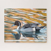 Pintail Duck Legpuzzel (Horizontaal)