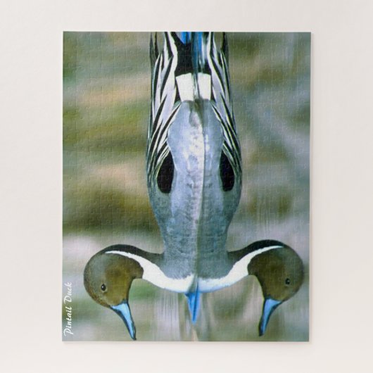 Pintail Duck Legpuzzel (Verticaal)