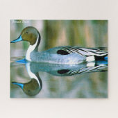 Pintail Duck Legpuzzel (Horizontaal)