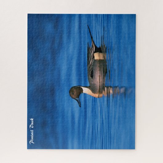 Pintail Duck Legpuzzel (Verticaal)