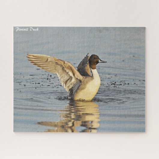 Pintail Duck Legpuzzel (Horizontaal)