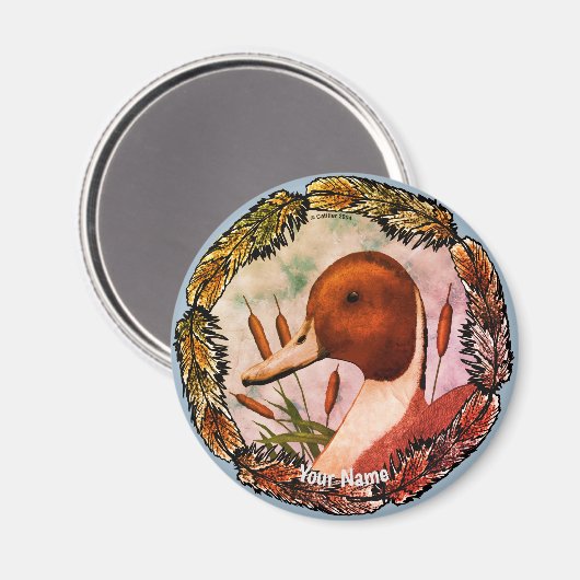 Pintail Duck magneet (Voorkant / Achterkant)