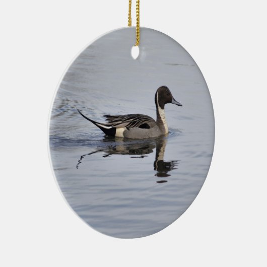 Pintail Duck Ornament (Rechts)