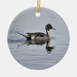 Pintail Duck Ornament