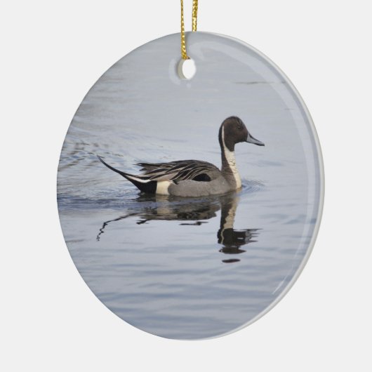 Pintail Duck Ornament (Links)