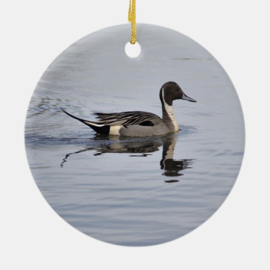 Pintail Duck Ornament (Achterkant)