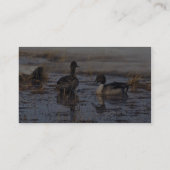 Pintail Duck Pair Visitekaartje (Achterkant)