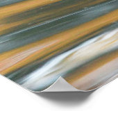 Pintail Duck Poster (Hoek)