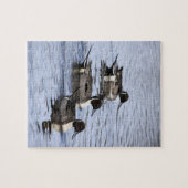 Pintail duck Trio Jigzaag Puzzle Legpuzzel (Horizontaal)