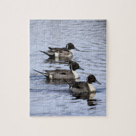 Pintail duck Trio Jigzaag Puzzle Legpuzzel