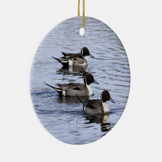 Pintail Duck Trio Ornament (Rechts)