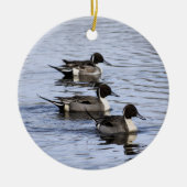 Pintail Duck Trio Ornament (Voorkant)