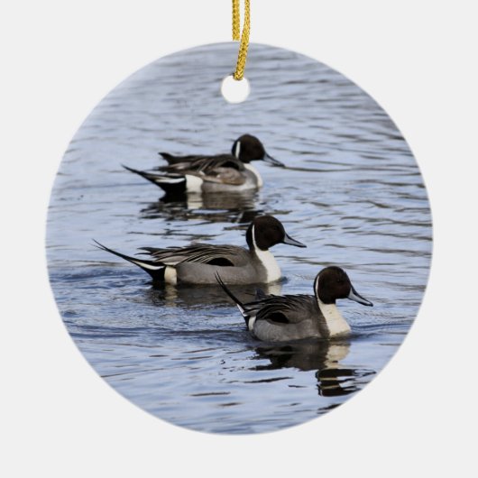 Pintail Duck Trio Ornament (Voorkant)