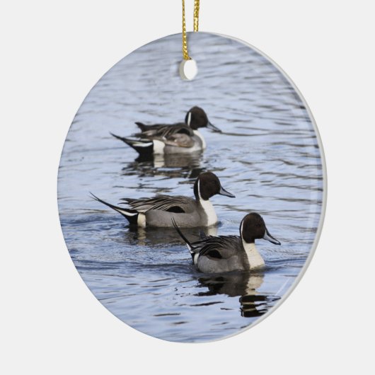 Pintail Duck Trio Ornament (Links)