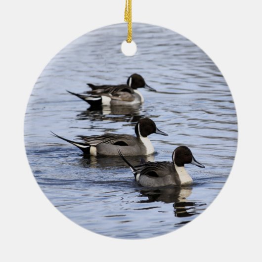 Pintail Duck Trio Ornament (Achterkant)