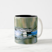 Pintail Duck Tweekleurige Koffiemok (Voorkant rechts)