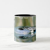 Pintail Duck Tweekleurige Koffiemok (Center)