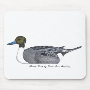 Pintail Duck van David Ivan Stromberg Muismat